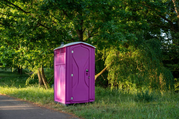 Best Affordable portable toilet rental  in Moundsville, WV